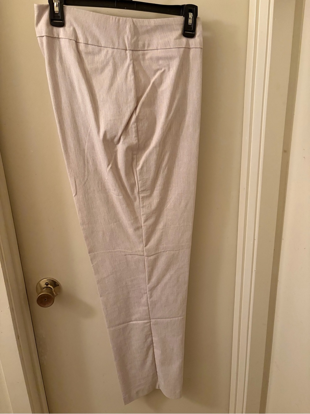 Dana Buchman Light Beige Dress Pants — Classic Straight Fit